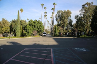 Enlarge photo 42