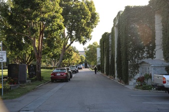 Enlarge photo 43