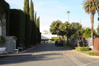 Enlarge photo 44