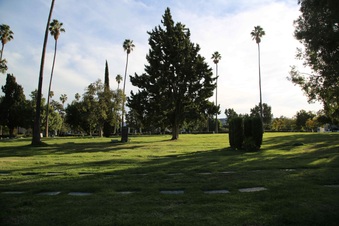 Enlarge photo 46