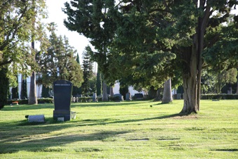 Enlarge photo 47