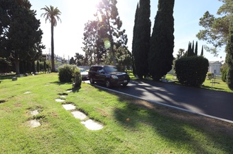 Enlarge photo 6