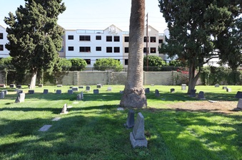 Enlarge photo 13