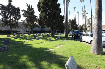 Enlarge photo 15