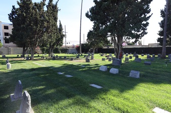 Enlarge photo 16