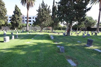 Enlarge photo 17