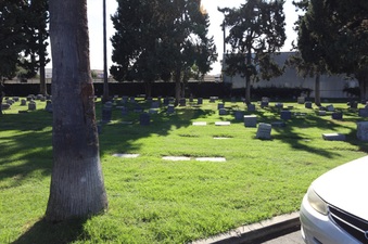 Enlarge photo 21