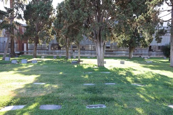 Enlarge photo 22
