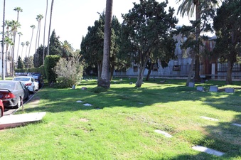 Enlarge photo 23