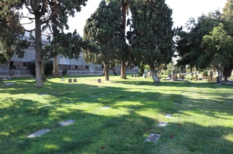 Enlarge photo 24