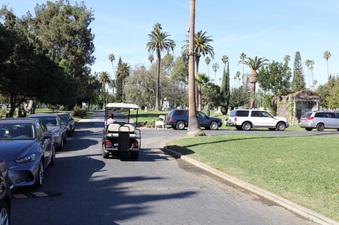 Enlarge photo 28