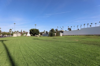 Enlarge photo 33