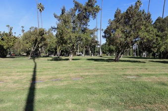 Enlarge photo 37