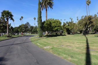 Enlarge photo 38