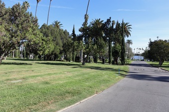 Enlarge photo 39