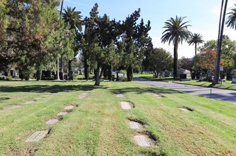 Enlarge photo 40