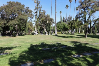 Enlarge photo 42