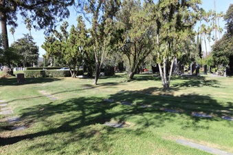 Enlarge photo 43
