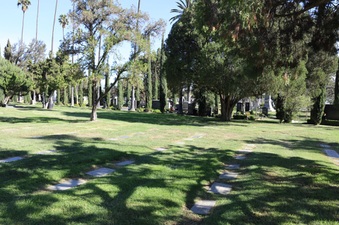 Enlarge photo 44