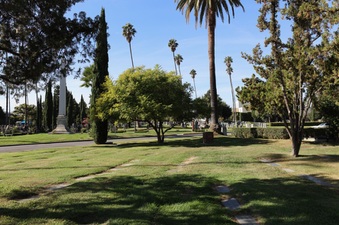 Enlarge photo 45