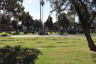 Enlarge photo 46