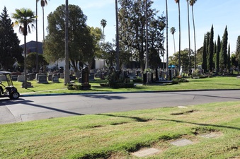 Enlarge photo 47