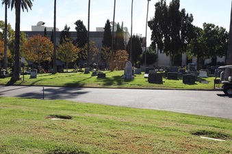 Enlarge photo 48