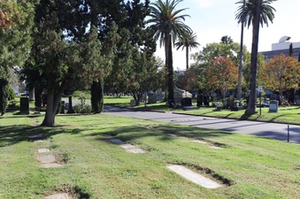Enlarge photo 49