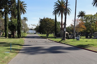 Enlarge photo 50