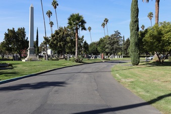Enlarge photo 51