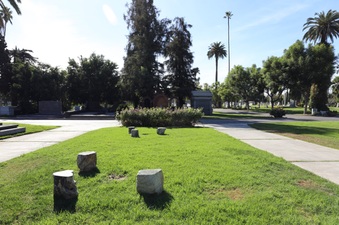 Enlarge photo 57