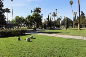 Enlarge photo 58