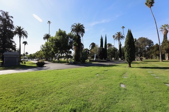 Enlarge photo 59
