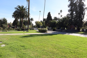 Enlarge photo 61