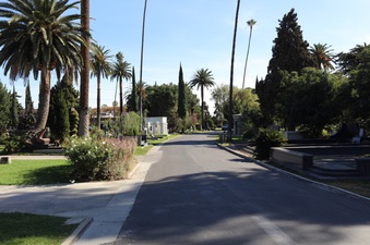 Enlarge photo 62