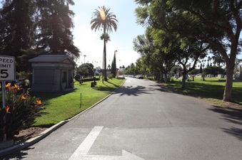 Enlarge photo 64