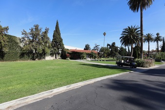 Enlarge photo 65