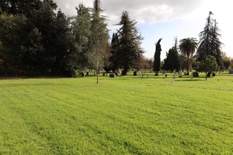 Mountain View Cemetery