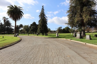 Enlarge photo 12