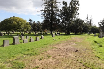 Enlarge photo 17
