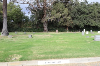 Enlarge photo 21