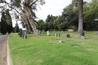 Enlarge photo 24