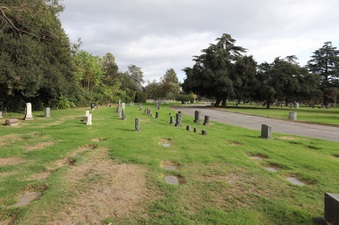 Enlarge photo 25