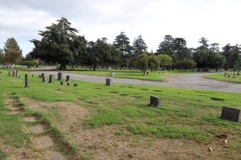 Enlarge photo 26
