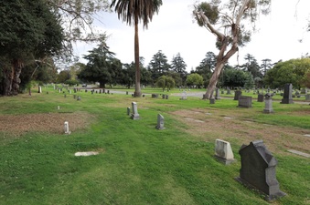 Enlarge photo 29