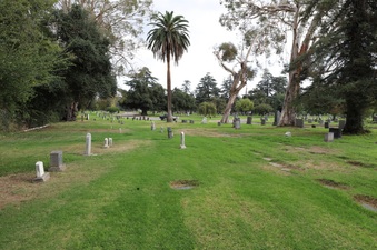 Enlarge photo 30