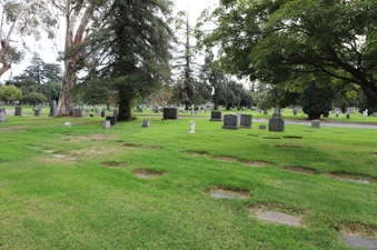 Enlarge photo 31