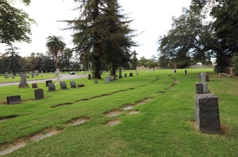 Enlarge photo 32