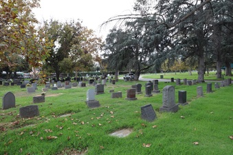 Enlarge photo 34