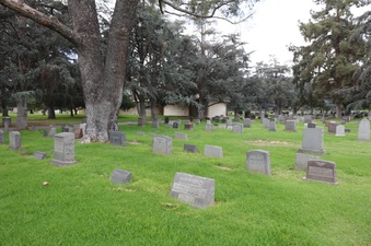 Enlarge photo 35